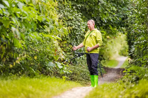 Die Wurzel-Killer Elektrolanze im Testeinsatz